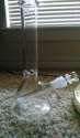 received_996062310476812.jpg