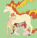 1170519 - Flannery May Misty Porkyman Rapidash.jpg