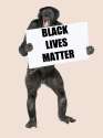 chimp blm.png