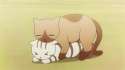 4636.gif