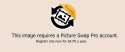 pictureswappro.png
