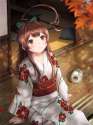 Kuma 05.jpg