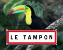 letamponishere.png