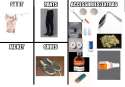 1461763205838.jpg
