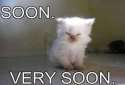soon.jpg