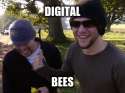 DigitalBees.jpg