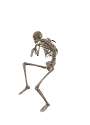spookycreepingstalkingbones.gif