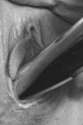FullSizeRender_6.jpg