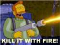 killitwithfire.jpg