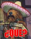 que.jpg