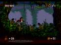 pitfall-the-mayan-adventure-04.png