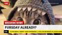 breaking-news fursday3.png