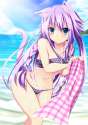 yande.re 343482 akine_(kuroyuri) animal_ears bikini nekomimi swimsuits tail wet.png