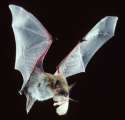 YumaWithMoth-LG.jpg