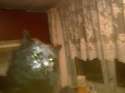 IMG-20160428-WA0000.jpg