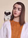 maisie.jpg