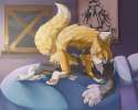 tails.png