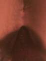 1419995225156id378515.gif