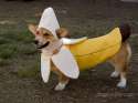 banana.jpg
