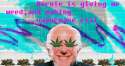 Bernie.jpg