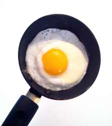 egg1.jpg