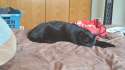 20160424_160945.jpg