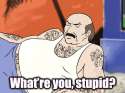 What're you, stupid.gif