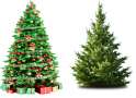 Tree .png