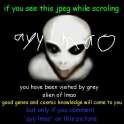 ayy lmao.jpg