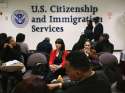 bailey jay immigrant.jpg