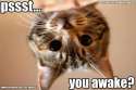You Awake.jpg