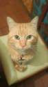 IMG-20160326-WA0000.jpg