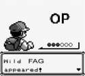 Wild-fag-appears.jpg