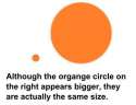 1455668843302.jpg