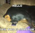 1394061467604.jpg