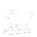 Wasscally Wabbit.png