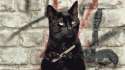 waiting cat.gif
