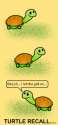 Turtle Recall.jpg