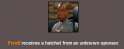 50.png