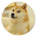 doge_circle.jpg