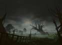 956_isd_Swamp2.jpg