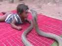 Snake-Vs-Baby.jpg