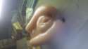 20160501_034401.jpg