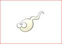 capture-sperm.png