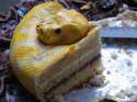 snake_cake_3D.jpg