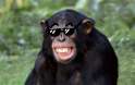 Sunglasses13.jpg