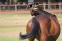 Sunglasses19.jpg