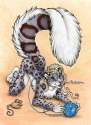 71_1294544348.xianjaguar_playtimeforkitty.jpg