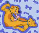 1197889 - Shadowpelt cat catdog dog.png