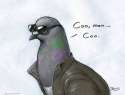 Coo.jpg